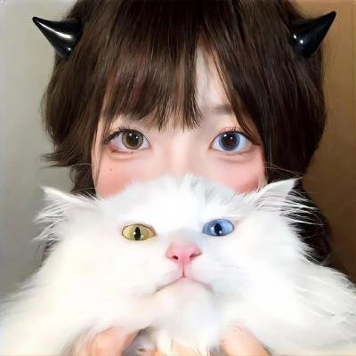 寻找爱情的下落